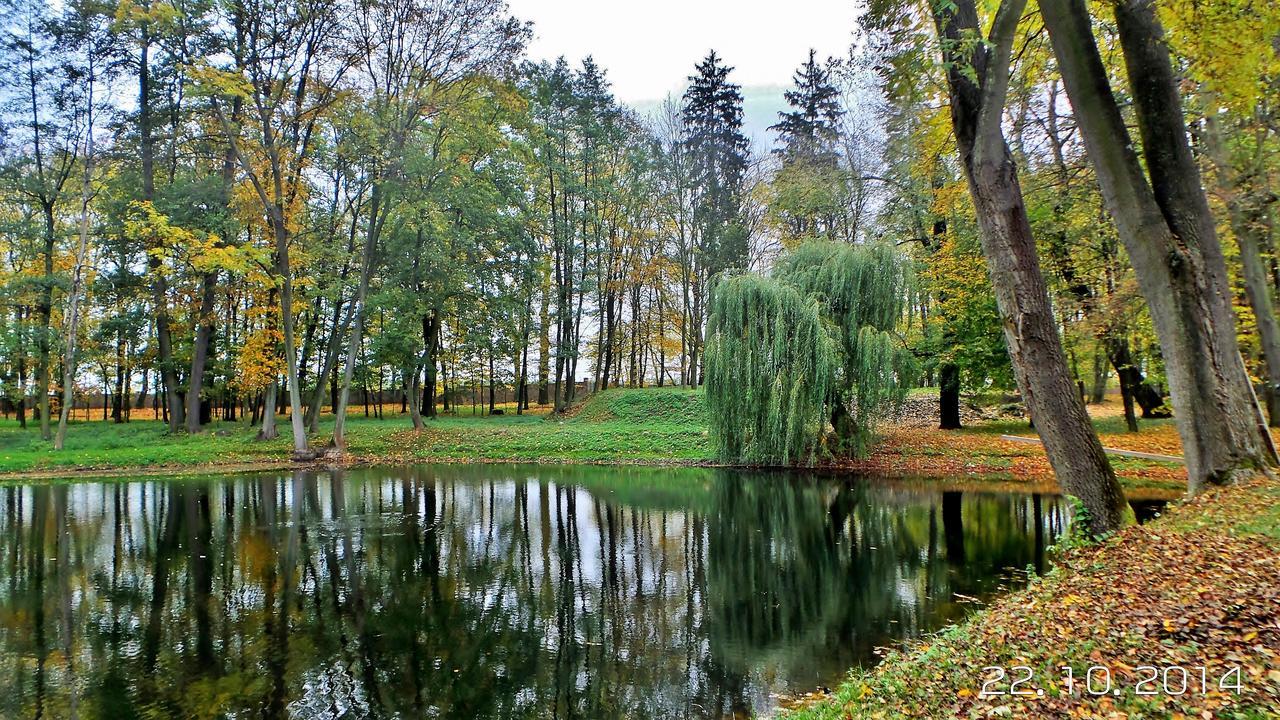 Palac Kobylin Buitenkant foto